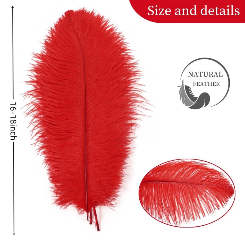 Shekyeon 16-18inch Red Ostrich Feathers DIY Craft Large Feather for Wedding Party Centerpicecs Flower Arrangement and Easter Gatsbi Decortion Pack of 10 - Image 3